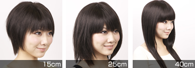 ���̒����T���v���ʐ^